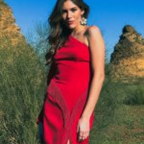Vestido Alicia